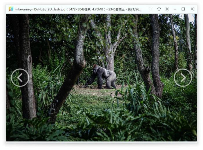 1605282500936649.jpg 3.jpg