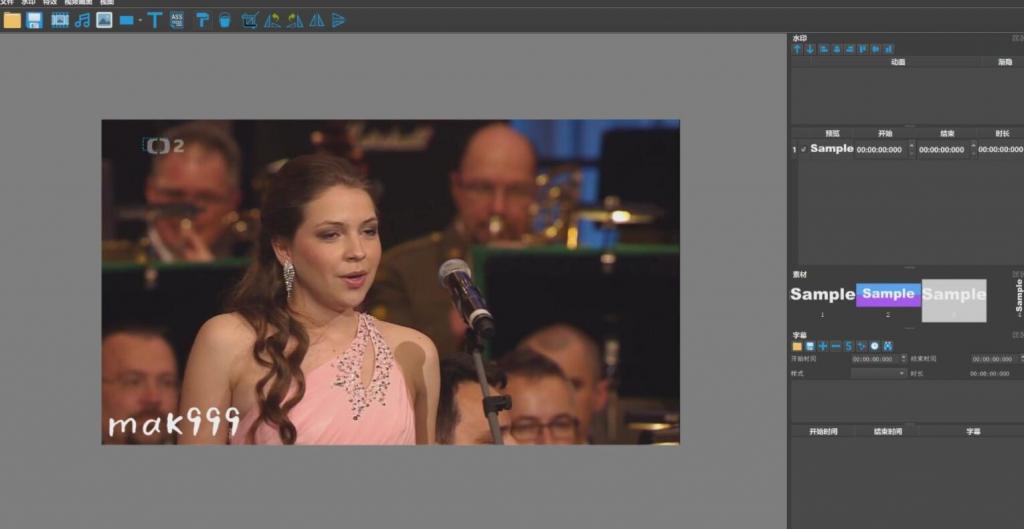 视图批量添加去除水印和字幕编辑DikDik软件 视图批量添加去除水印和字幕编辑DikDik软件