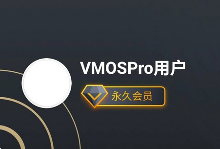 虚拟大师VMOS Pro专业版v1.3.1-橘子哭了