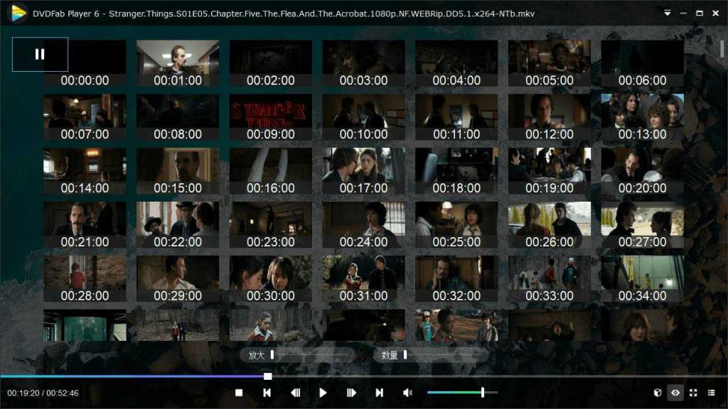 DVDFab Player v6.1.1高级版 DVDFab Player v6.1.1高级版